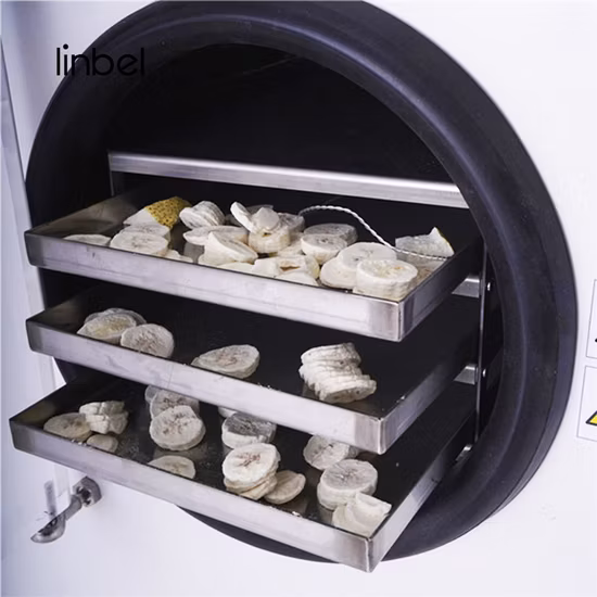 Home Lyophilization Homemade Food Freeze Dryer Household Vacuum Pump Freeze Dryer