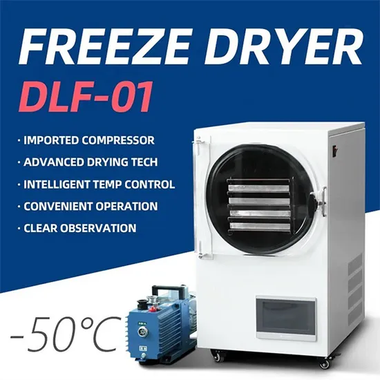 Home Freeze Dried Food Vacuum Lyophilizer Price Fruit Mini Vegetable ...
