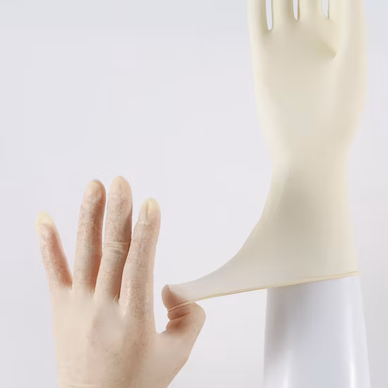 Latex Examination Gloves/Disposable Gloves Nitrile Medical Consumable