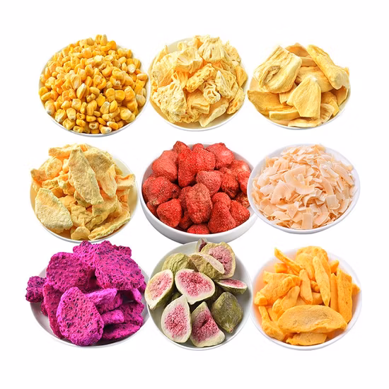 Home Freeze Dried Food Vacuum Lyophilizer Price Fruit Mini Vegetable Freeze Drying Machine Freeze Dryer with CE Proved